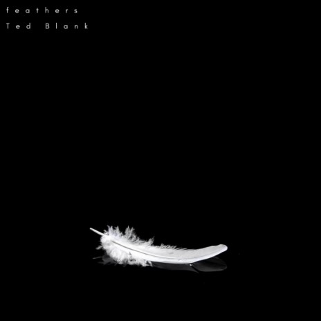 Feathers | Boomplay Music