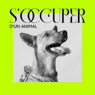 S'occuper d'un animal: Musique relaxante pour chiens et chats, Musique instrumentale calme