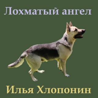 Лохматый ангел