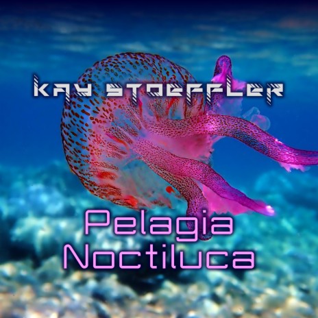 Pelagia Noctiluca | Boomplay Music