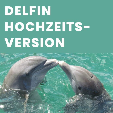 Delfin Hochzeitsversion | Boomplay Music