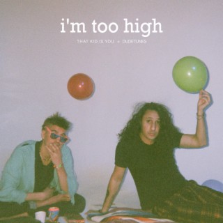 I'm Too High ft. Dudetunes lyrics | Boomplay Music