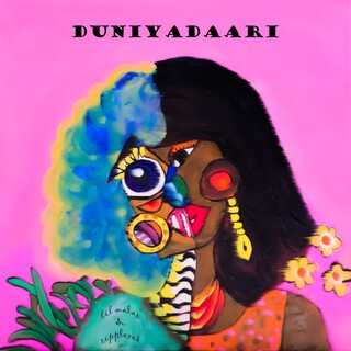 Duniyadaari