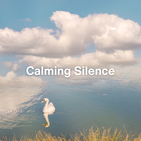 Silent Calming (Relaxing Ambient Music) ft. Ambient & Sound Sleeping | Boomplay Music