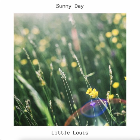 Sunny Day | Boomplay Music
