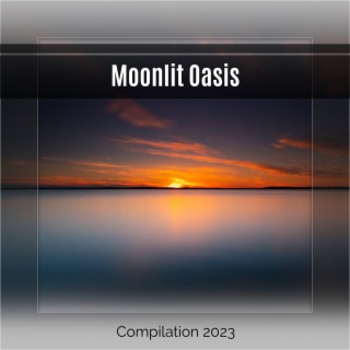 Moonlit Oasis