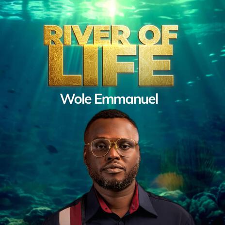 RIVER OF LIFE | Boomplay Music