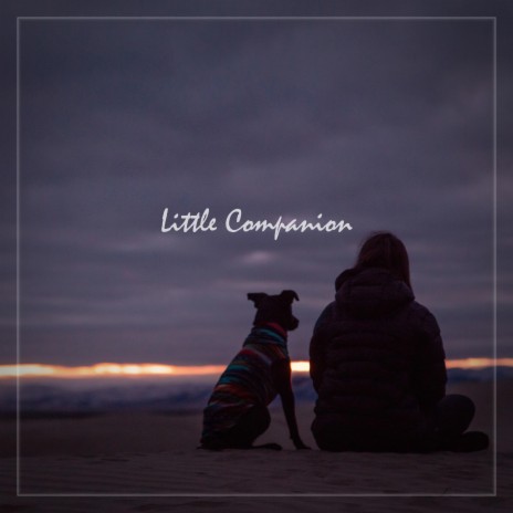 Little Companion | Boomplay Music