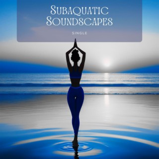 Subaquatic Soundscapes