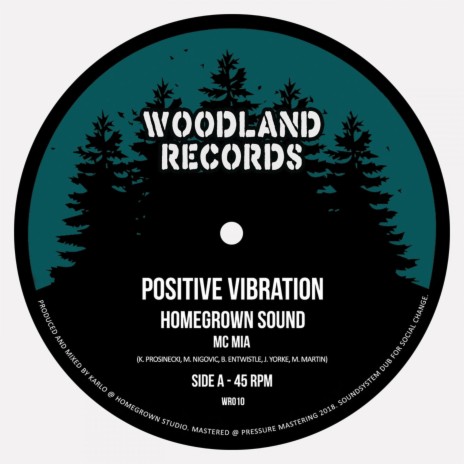 Positive Vibration PT II (feat. Conscious Youth)