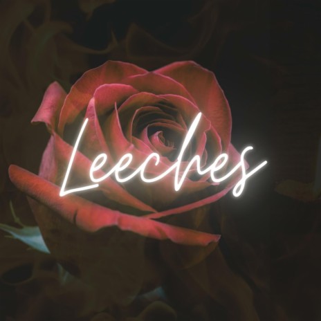 Leeches | Boomplay Music