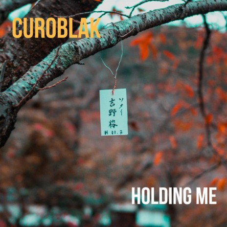 Holding Me | Boomplay Music