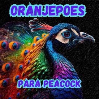 Para Peacock