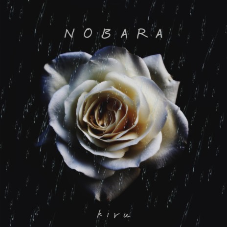 Nobara | Boomplay Music
