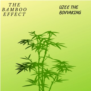 The Bamboo Effect