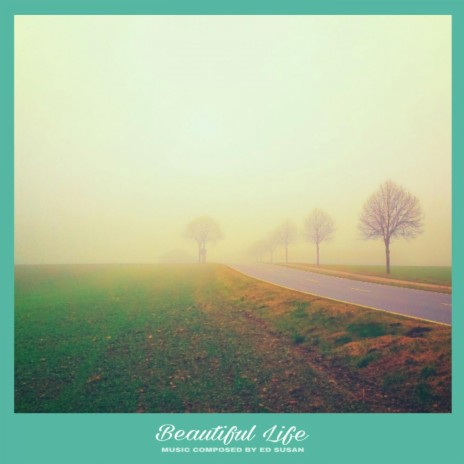 Beautiful Life | Boomplay Music