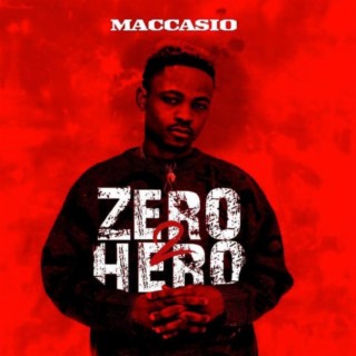 Zero 2 Hero lyrics | Boomplay Music