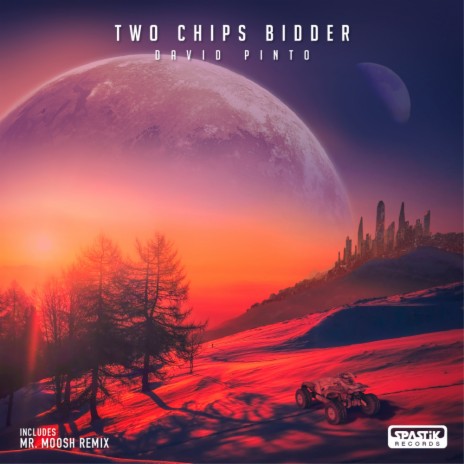 Two chips bidder (Original Mix)