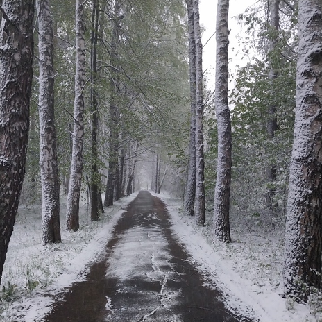 Весеннее тепло