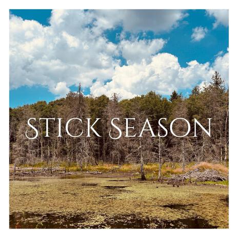 Stick Season | Boomplay Music