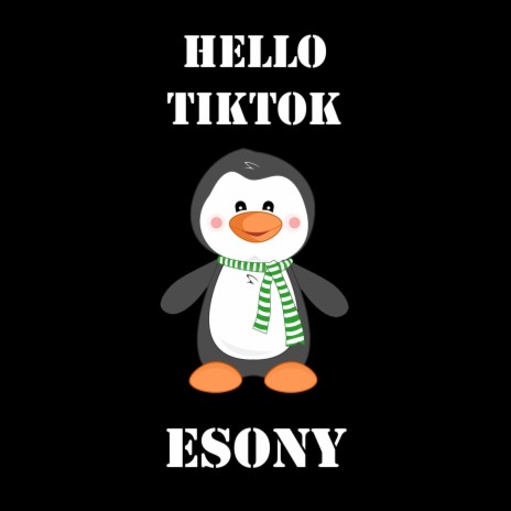 Hello Tiktok | Boomplay Music