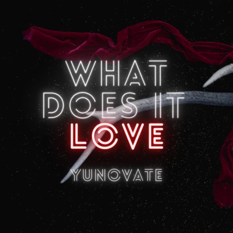 What Does It Love | Boomplay Music