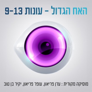 האח הגדול - עונות 9-13