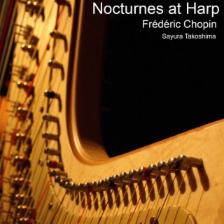 Nocturnes at Harp