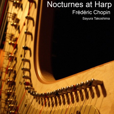 Nocturne No. 19 in E Minor, Op. 72 No. 1