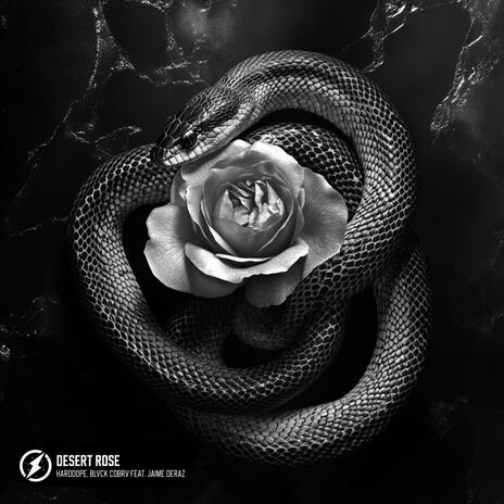 Desert Rose (feat. Jaime Deraz) | Boomplay Music