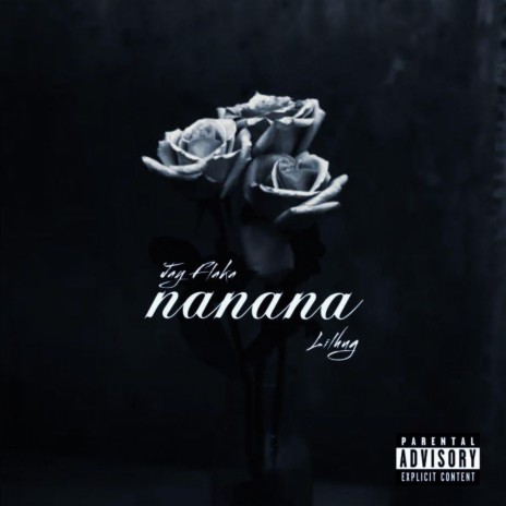 NaNaNa | Boomplay Music