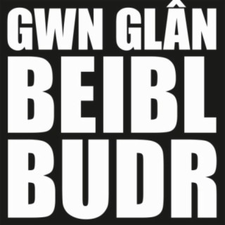 Gwn Glân Beibl Budr