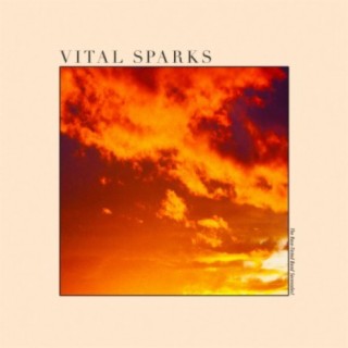 Vital Sparks