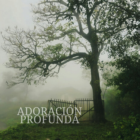 Adoración Profunda ft. Grupo Adoracion & Canciones Catolicas | Boomplay Music