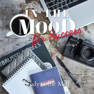 In the Mood for Success - Study at the Mall