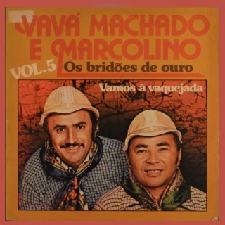 VAVÁ MACHADO & MARCOLINO