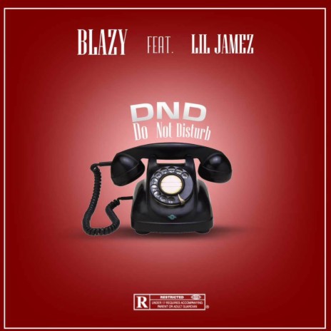 DND(Speedup) ft. Lil jamez | Boomplay Music