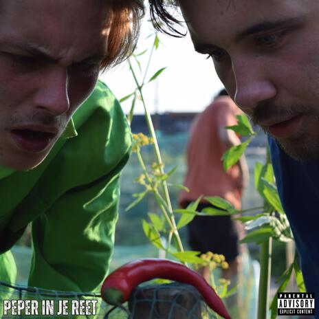 Peper in je reet | Boomplay Music