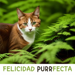 Felicidad Purrfecta: Música Relajante para Mascotas Contentas y Relajadas