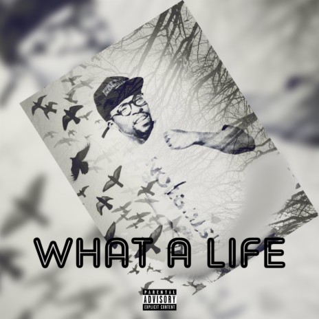 What A Life | Boomplay Music