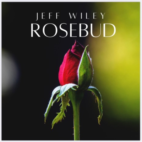 Rosebud | Boomplay Music