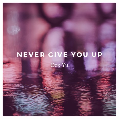 Never Give You Up | Boomplay Music