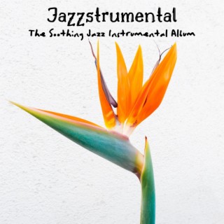 The Soothing Jazz Instrumental Album
