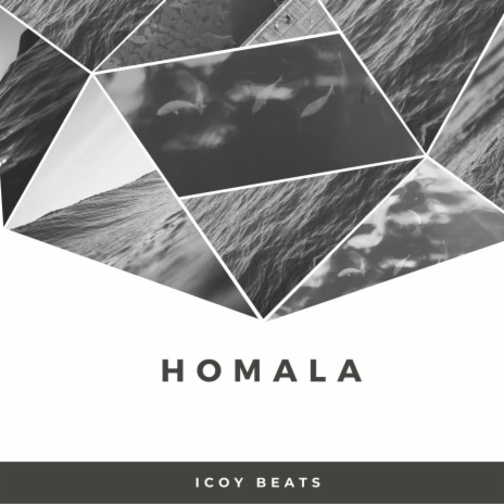 Homala (Instrumental) | Boomplay Music
