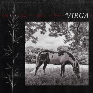 Virga