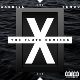 The Flute Remixes