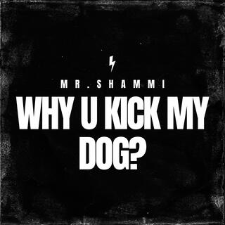 Why U Kick My Dog? lyrics | Boomplay Music