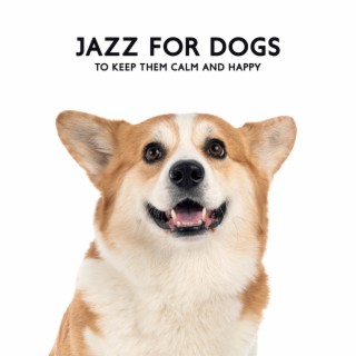 Jazz for Dogs to Keep Them Calm and Happy