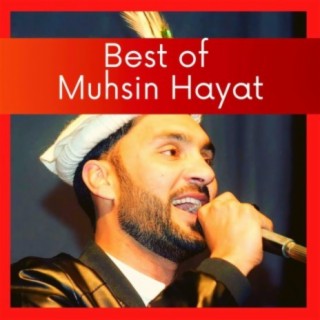 Best of Muhsin Hayat
