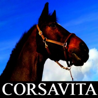 Corsavita